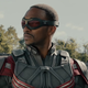 Anthony Mackie as Sam Wilson.
